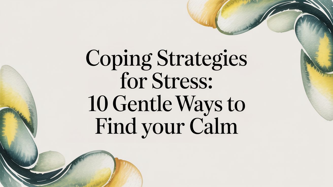 featured image 031dff54 4994 401a 9e54 2d891f05604d.jpg