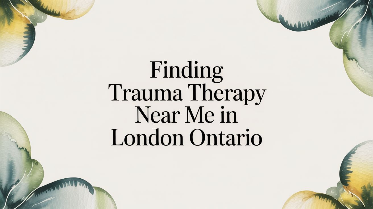 featured image b1300226 57ec 4a12 a9cd dad81a47e599.jpg