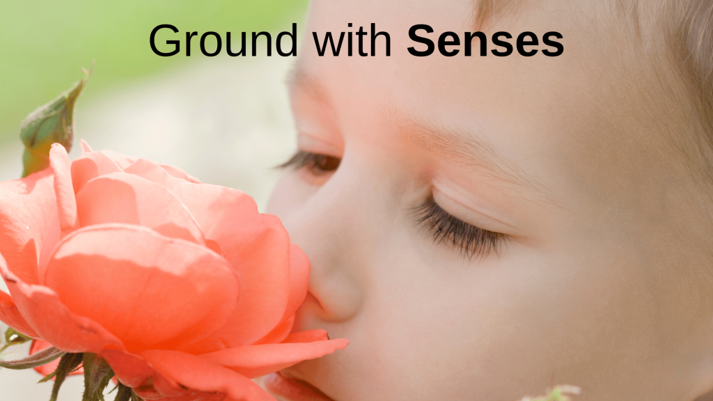 ground with senses